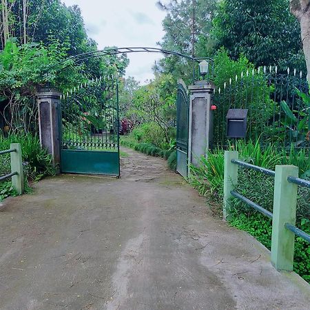 Rumah Sawah Ngabean Εξωτερικό φωτογραφία