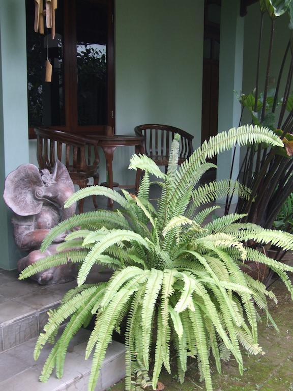Rumah Sawah Ngabean Εξωτερικό φωτογραφία