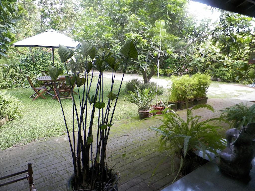Rumah Sawah Ngabean Εξωτερικό φωτογραφία
